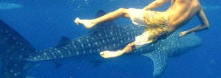 Swimming Shorts